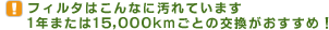 �t�B���^�͂���Ȃɉ���Ă��܂��B1�N�܂���15,000km���Ƃ̌������������߁I